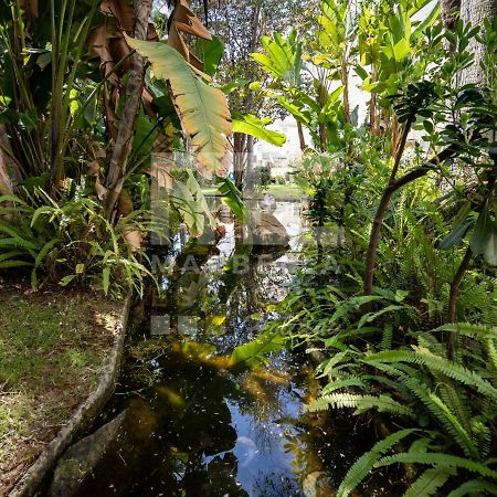 Amazing Apartment ,Center Of Marbella, Beach 338 Esterno foto
